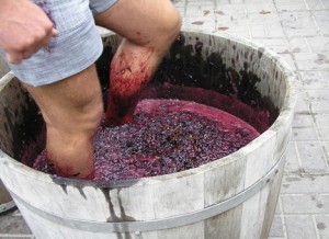 получение виноградного сока ногами