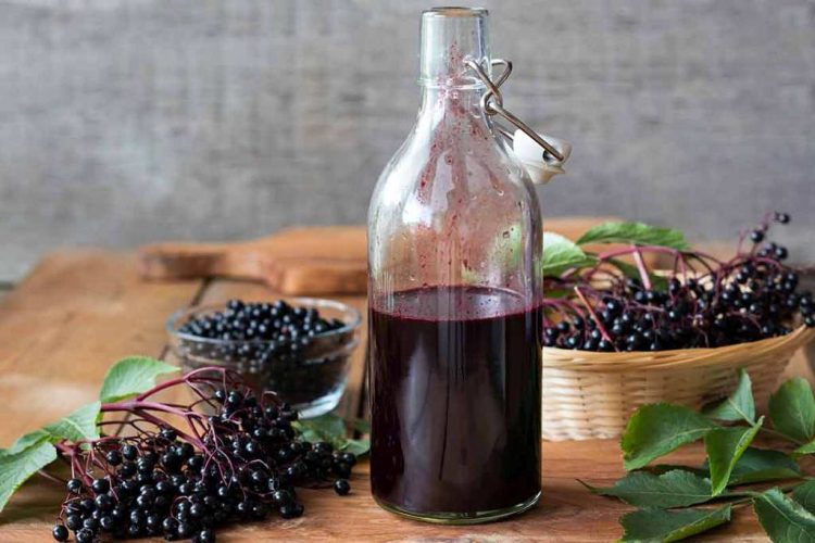вино домашнее из черноплодки на водке