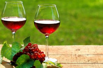 красное вино и виноград