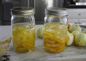водка с лимонной цедрой